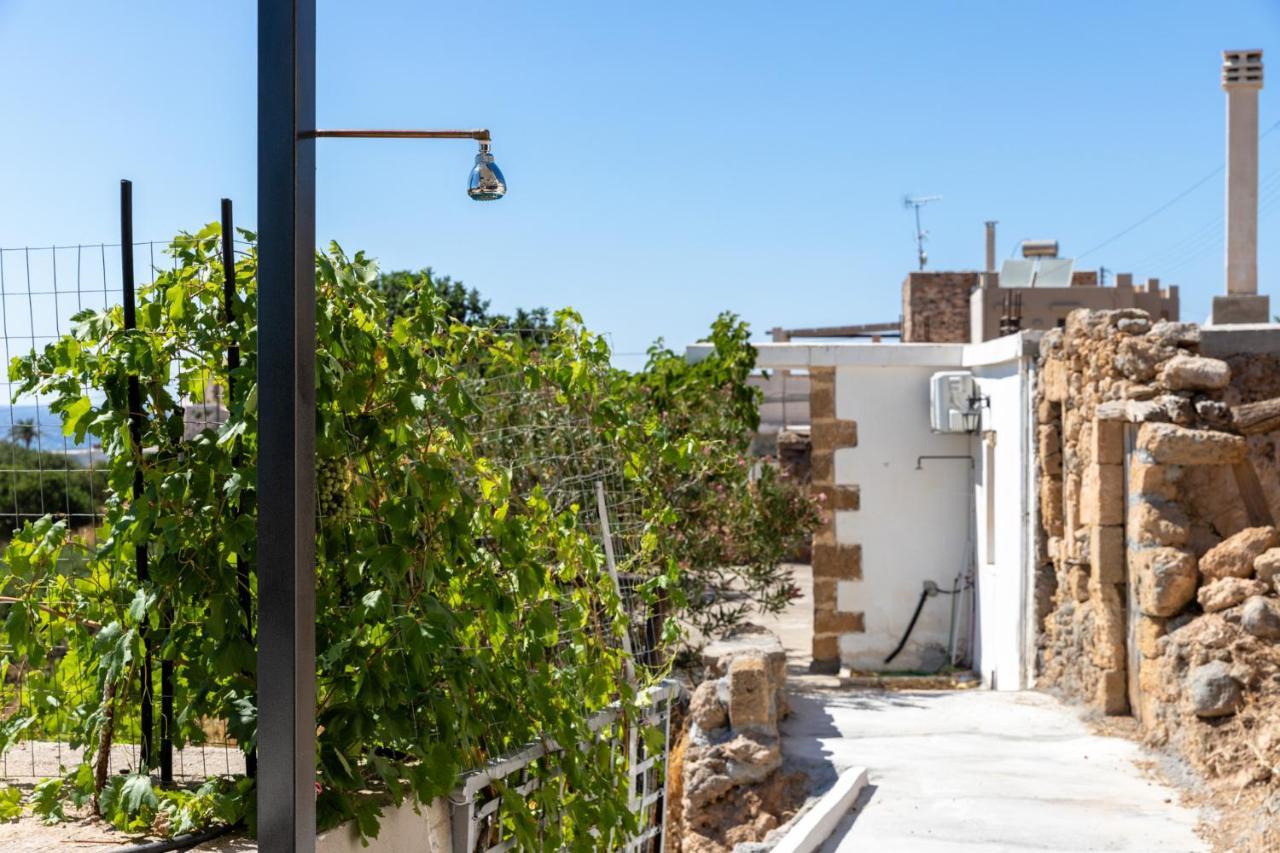 Thea Studio Agios Pandeleimon  Extérieur photo